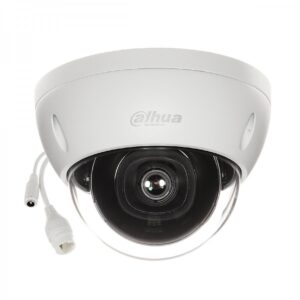 10.1.1 CAMARA IP