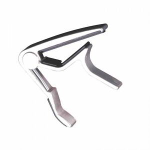 9.1.3 CAPO