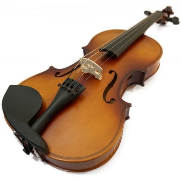 6100 VIOLIN VISCONTI - Image 3