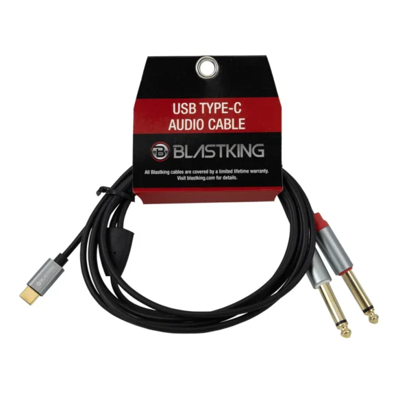 5487 USB-C To Dual 1/4” - Image 3