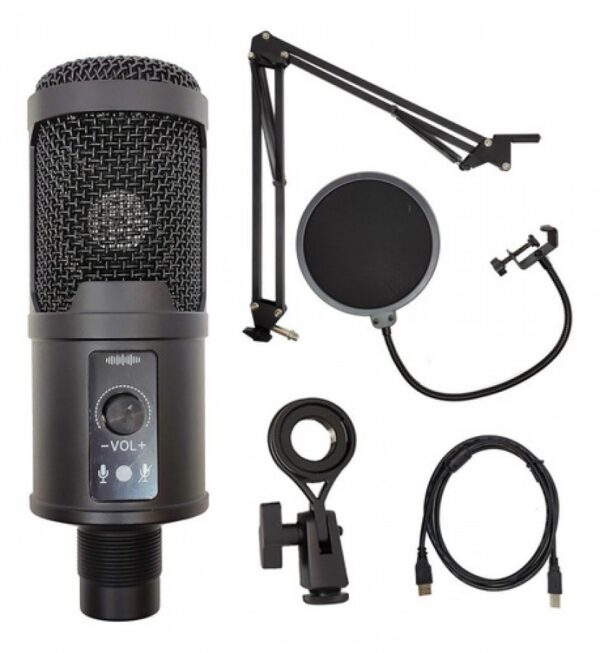 6068 BM65 USB MIC PROFESSIONAL
